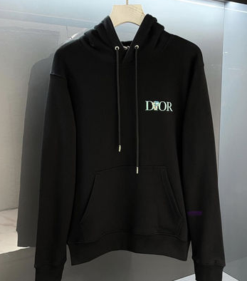 Dior Hoodie Designs for Modern Life - World Of Science